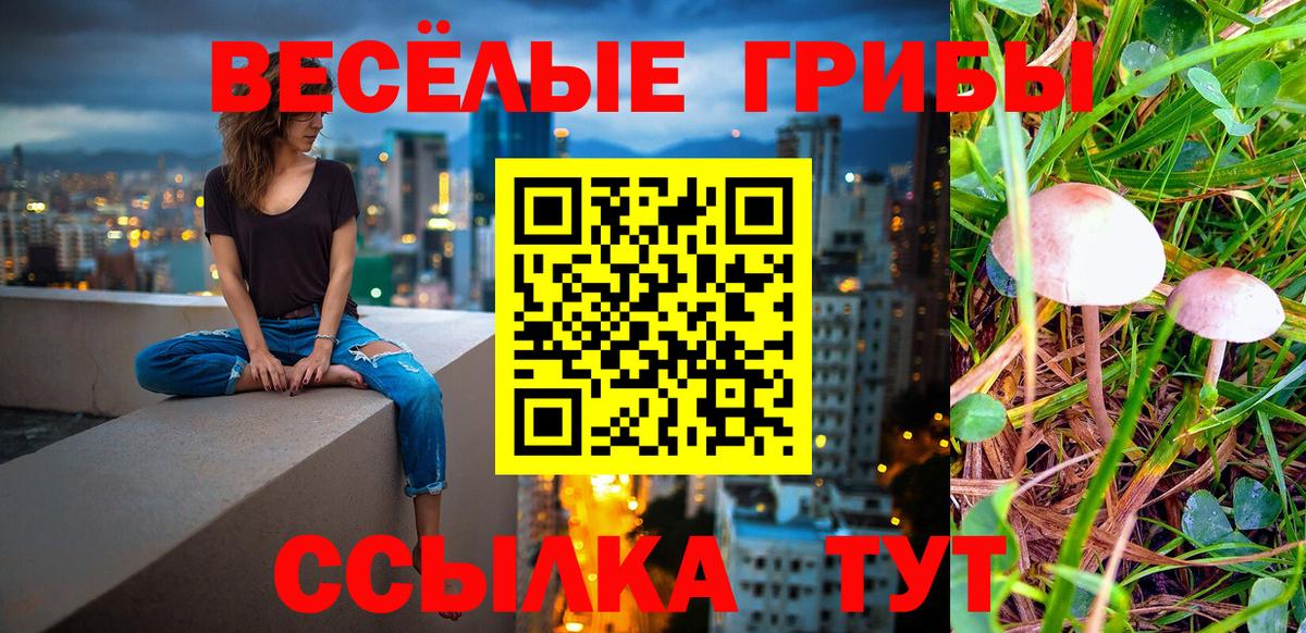 Псилоцибиновые грибы MAGIC MUSHROOMS Дивногорск